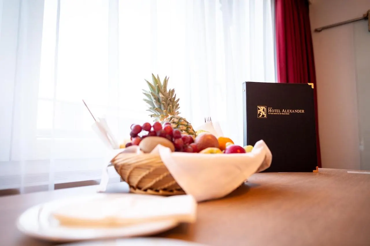 Budget Hotel Alexander Bazel 3*,