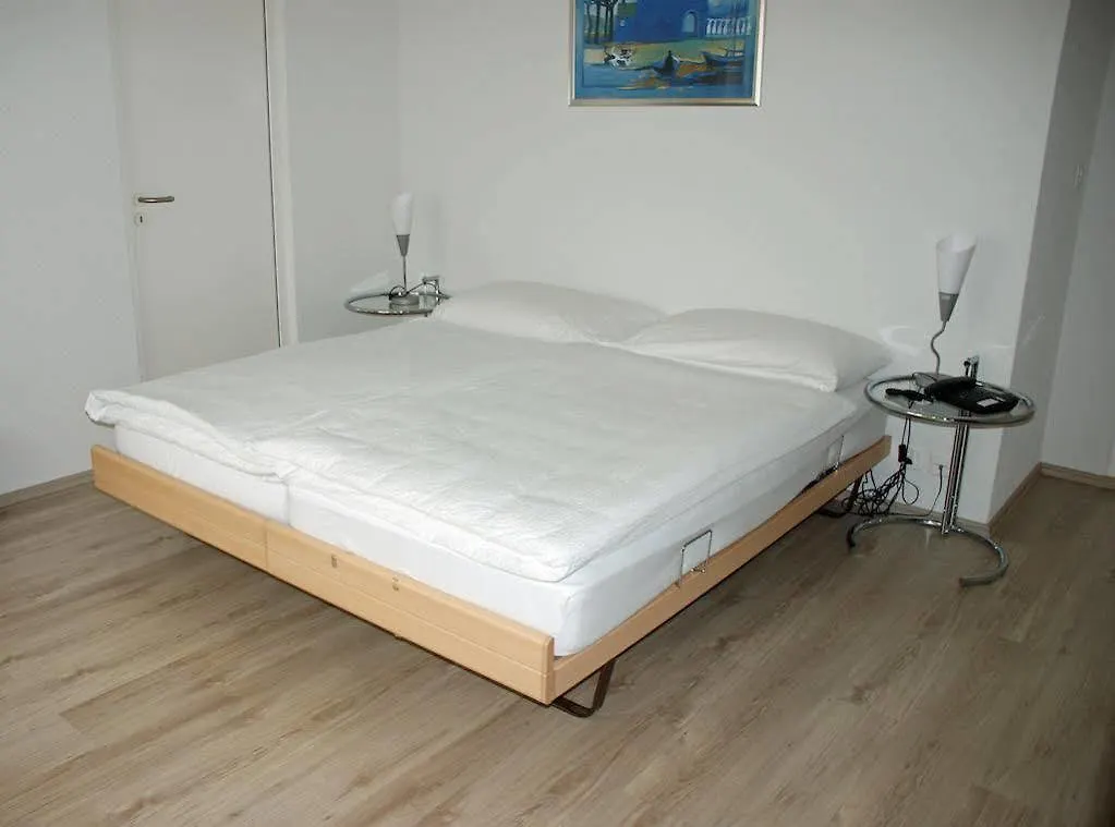 Budget Hotel Alexander Bazel