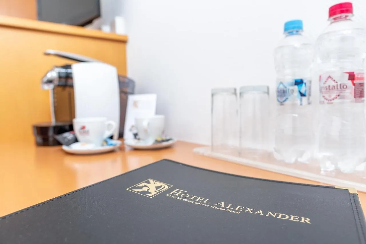 Budget Hotel Alexander Bazel