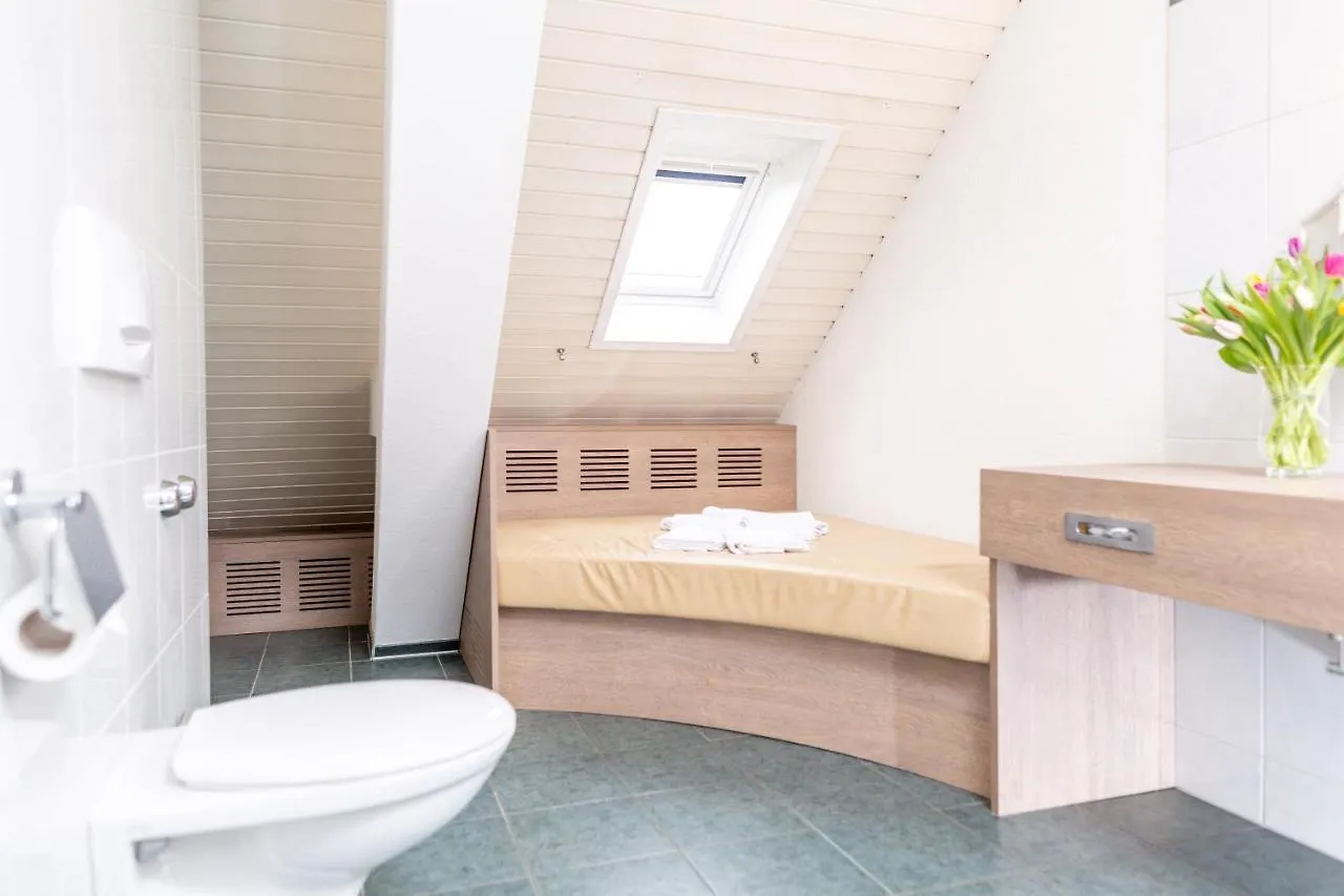 Budget Hotel Alexander Basel 3*,  Schweiz